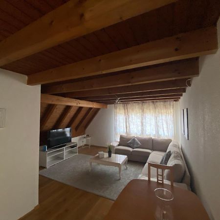 Get Cozy Family Flat Zuerich Appartement Buitenkant foto