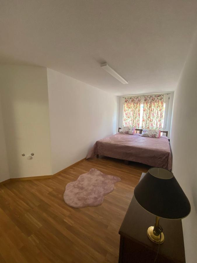 Get Cozy Family Flat Zuerich Appartement Buitenkant foto