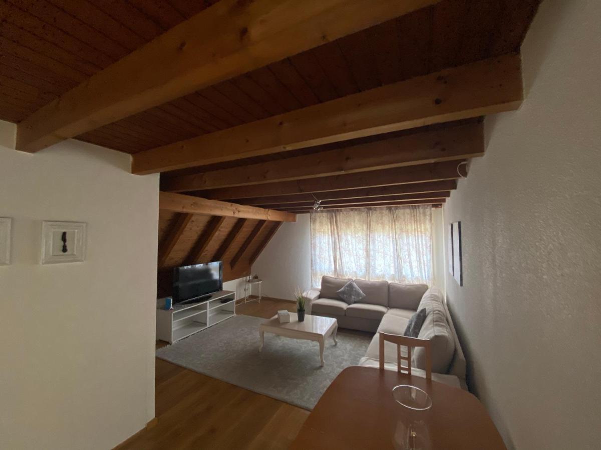Get Cozy Family Flat Zuerich Appartement Buitenkant foto