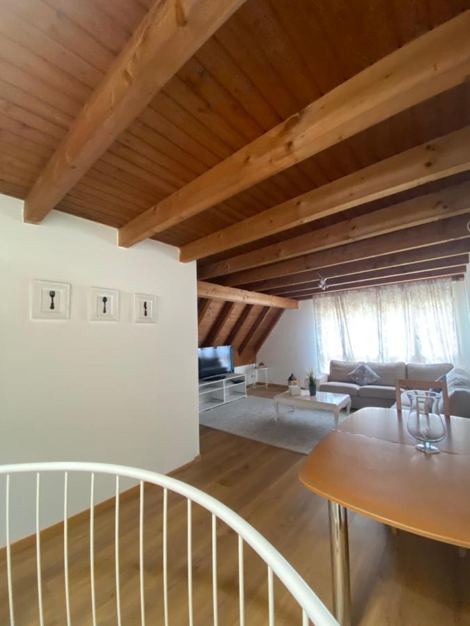 Get Cozy Family Flat Zuerich Appartement Buitenkant foto
